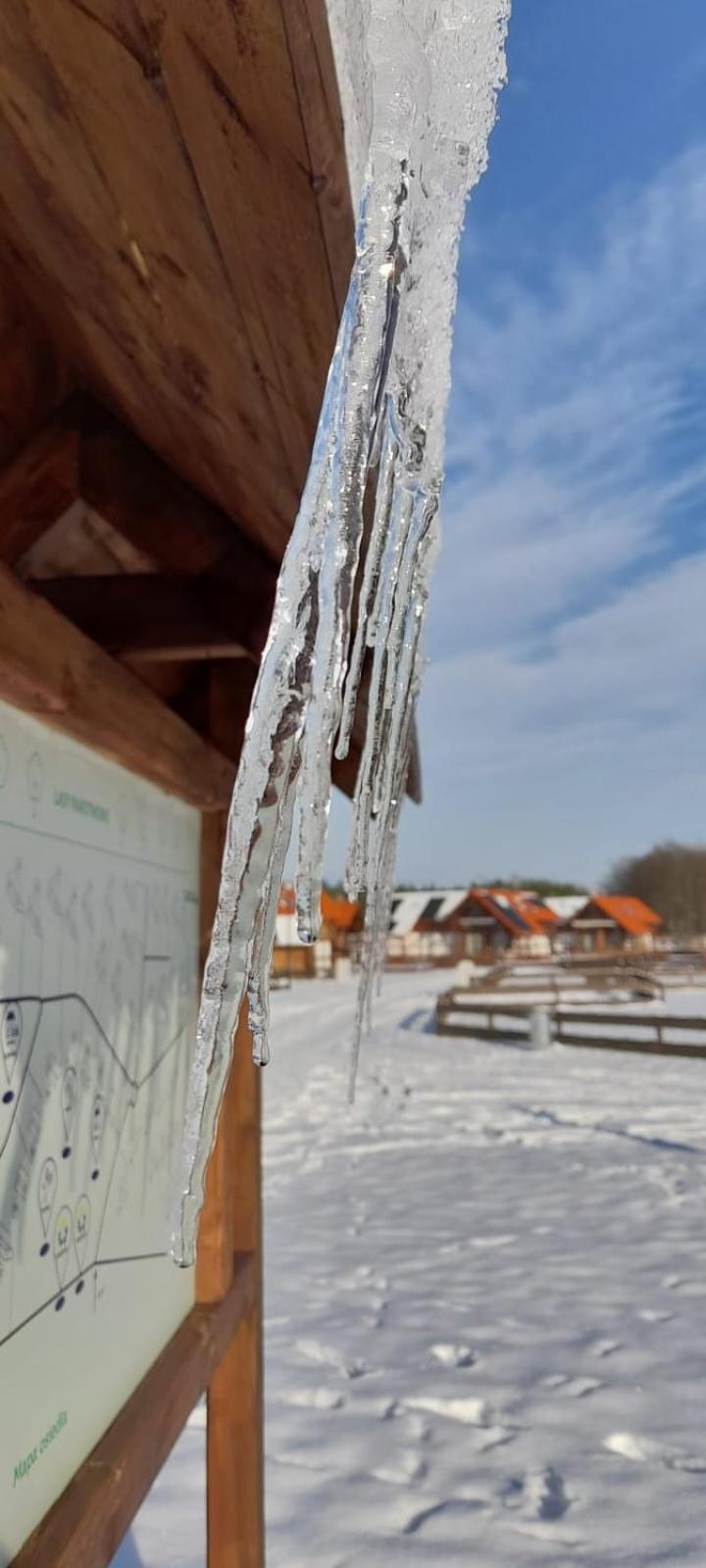 Vila Lesna Ostoja Borowy Mlyn Exteriér fotografie